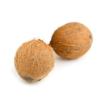 Coconut
